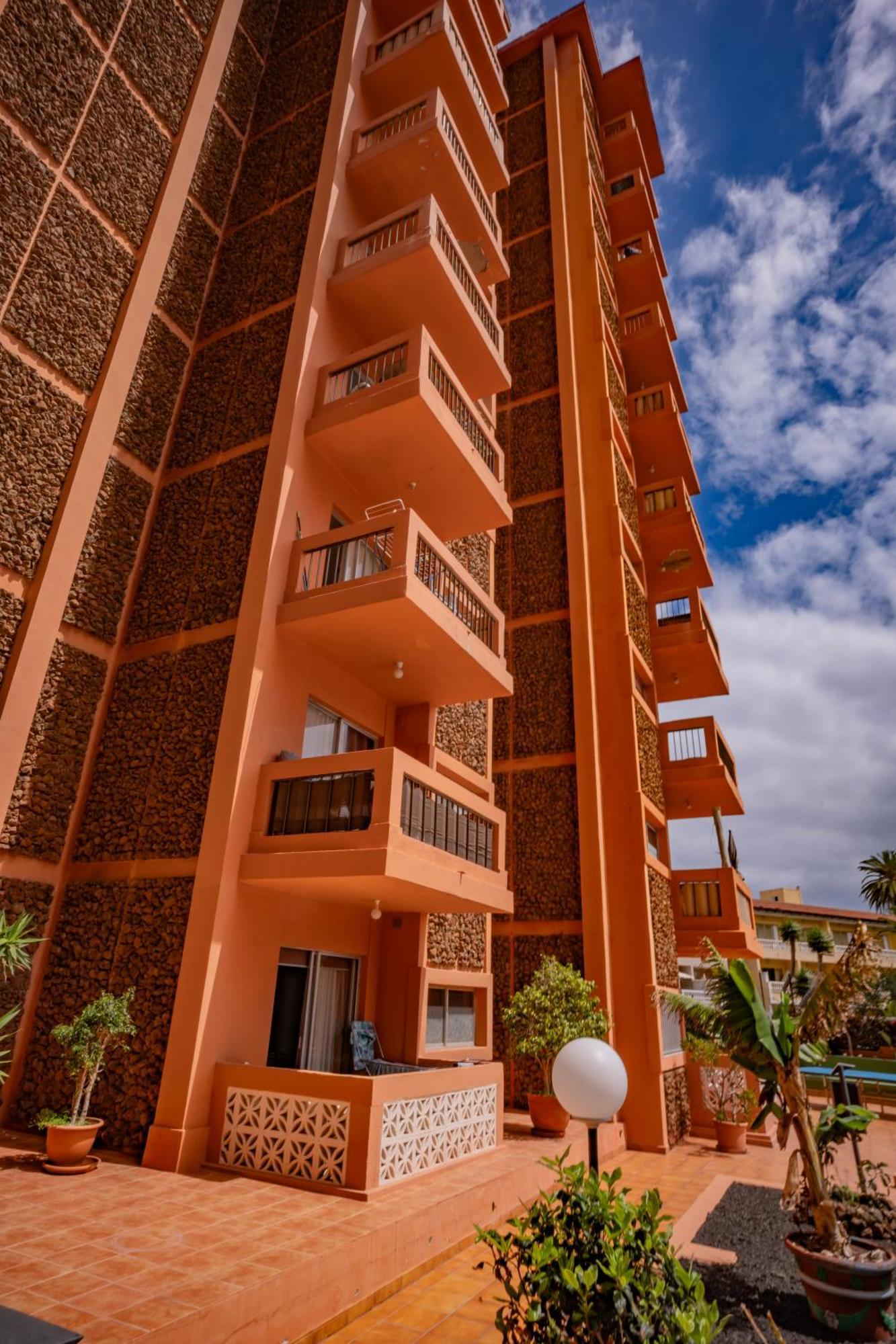 Cautivador Estudio En Puerto De La Cruz Экстерьер фото